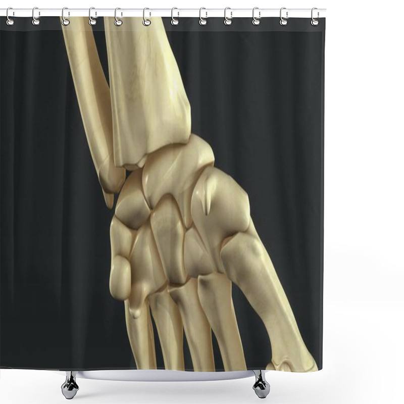 Personality   Synovial Joints Close Up  Shower Curtains