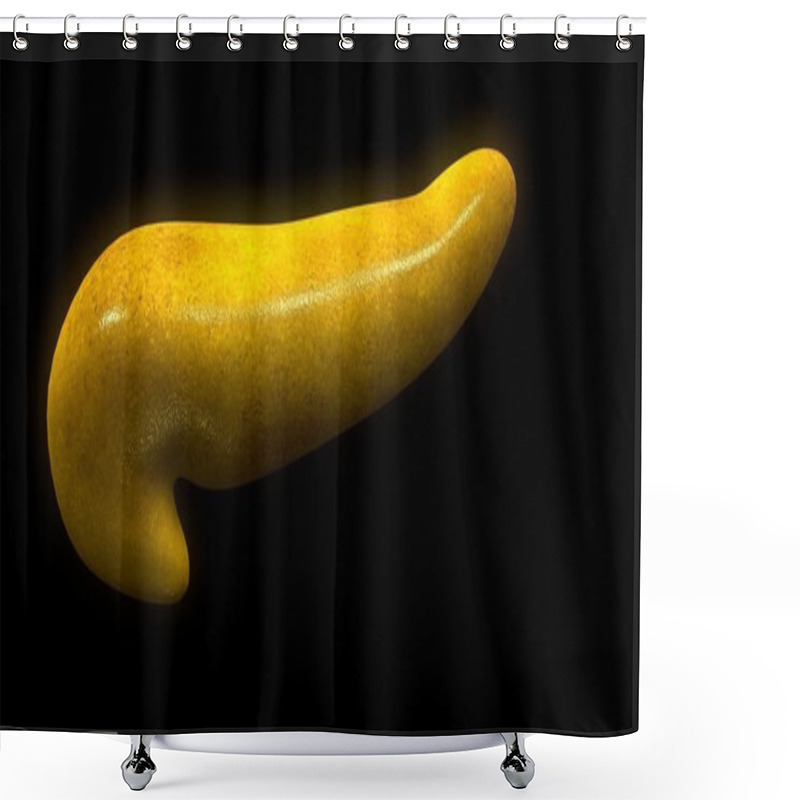 Personality  Human Pancreas Organ Shower Curtains