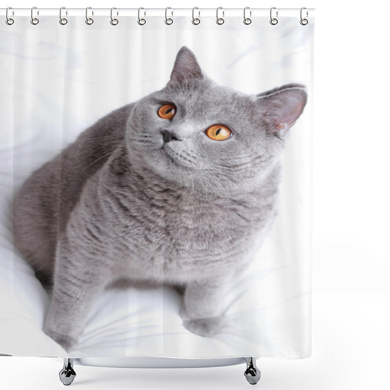 Personality  Cat Portrait Shower Curtains