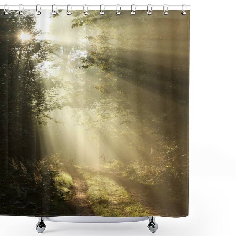 Personality  First Autumn Morning In The Misty Forest Shower Curtains