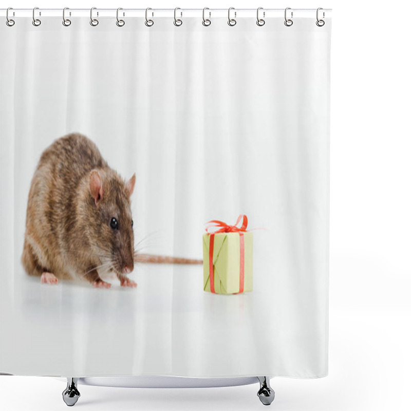 Personality   Little And Cute Rat Near Toy Present On White Shower Curtains