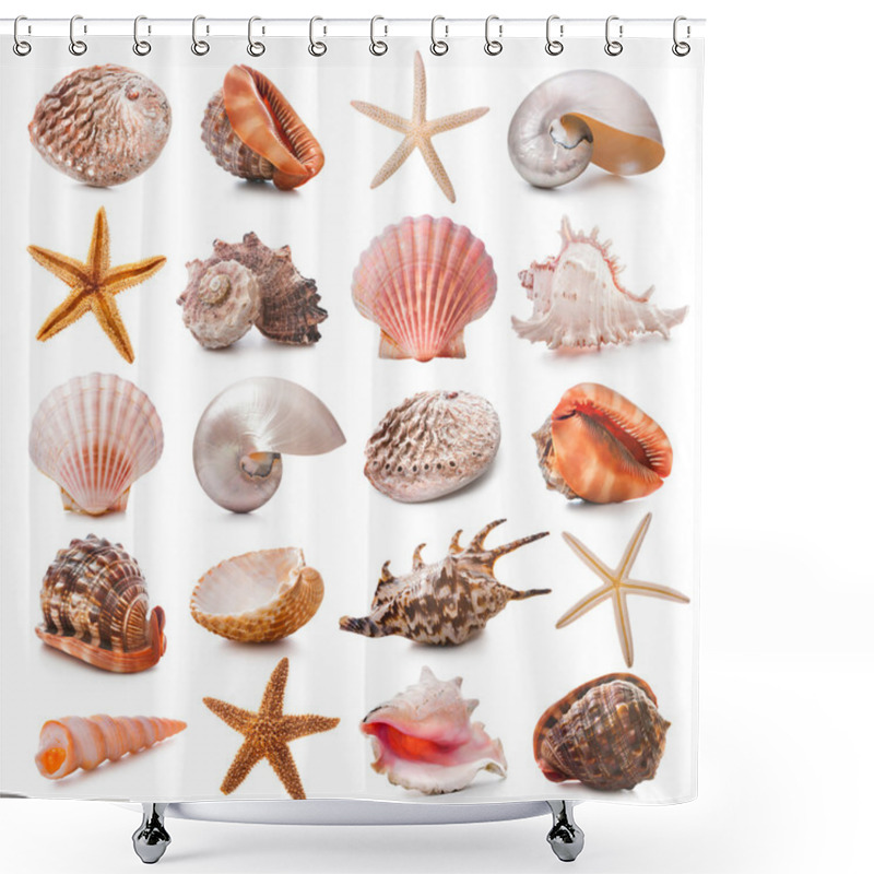 Personality  Seashell Collection Shower Curtains