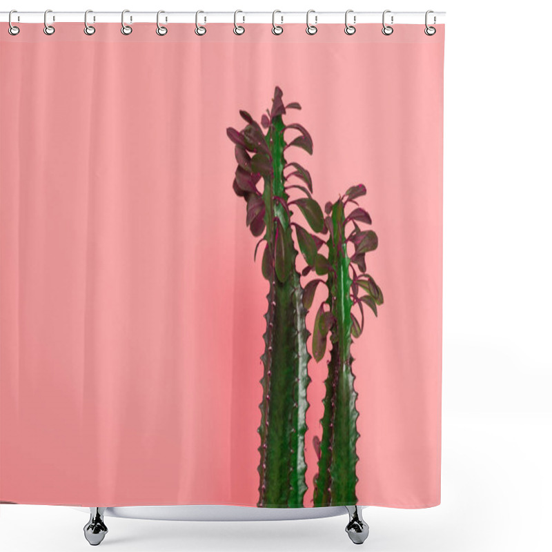 Personality  Beautiful Green Cactuses With Thorns And Leaves Isolated On Pink  Shower Curtains