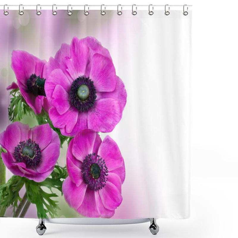 Personality  Beautiful Purple Anemone Flower Shower Curtains