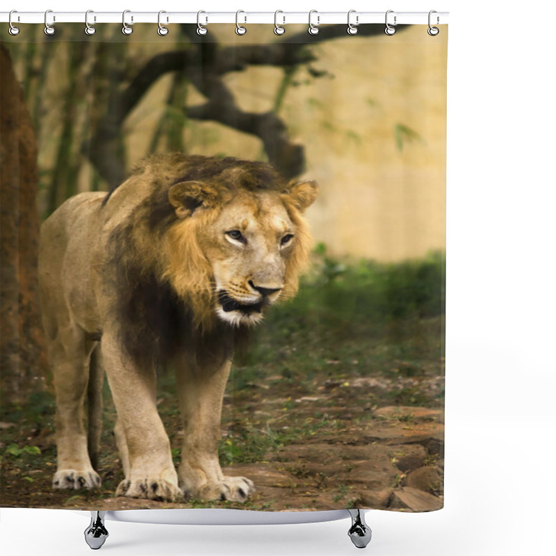 Personality  The Lion King Shower Curtains