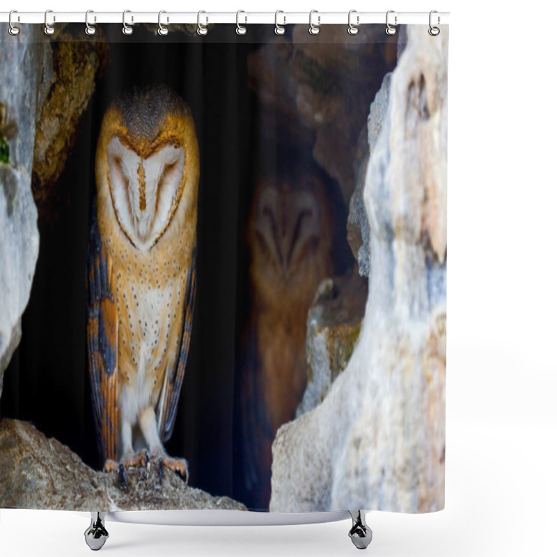 Personality  Couple Of Barn Owls Shower Curtains