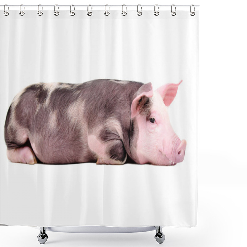 Personality  Cute Little Pig Lying Isolated On White Background Shower Curtains