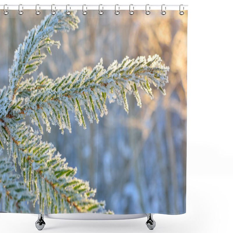 Personality  Pine Tree Covered With Frost Close-up Shower Curtains