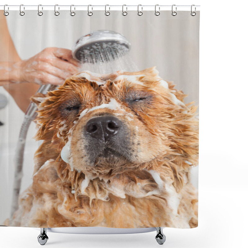 Personality  Bathroom To A Dog Chow Chow Shower Curtains