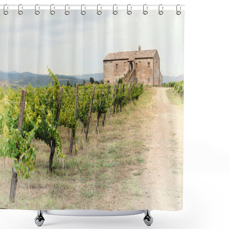 Personality  Tuscany Vineyard Shower Curtains