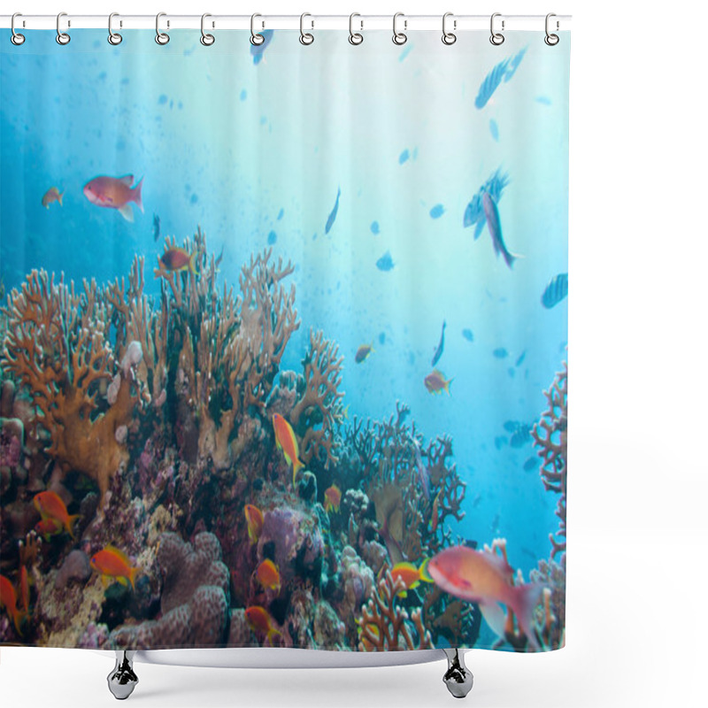 Personality  Marine Life With Tropical Corals Shower Curtains