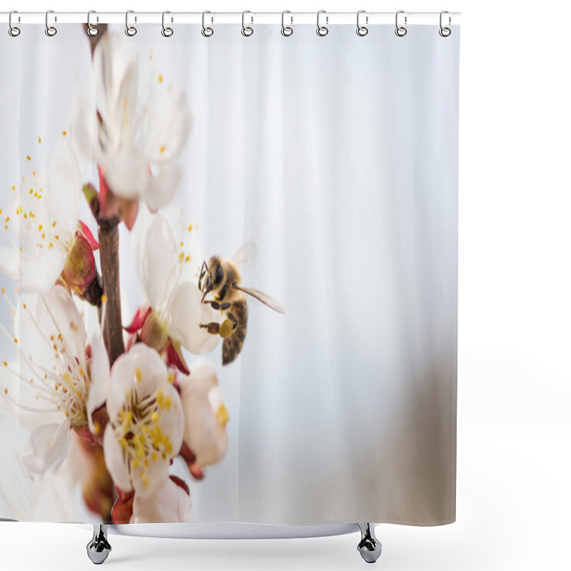 Personality  Peach Blossoms With A Bee Shower Curtains