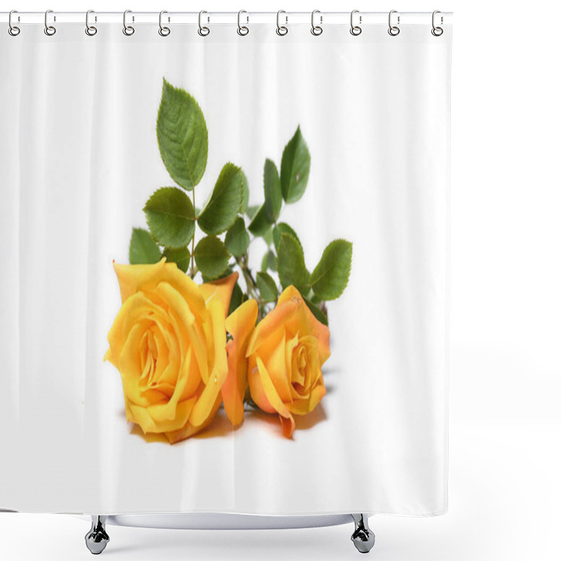 Personality  Yellow Rose Isolated On White Background  Shower Curtains