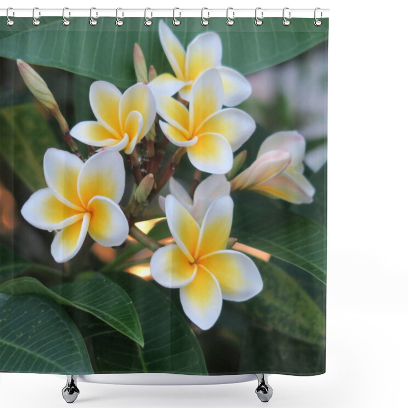 Personality  Asian, Exotic Yellow Flowers Shower Curtains