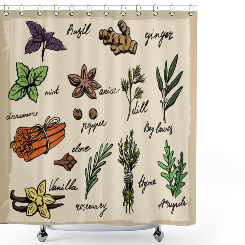 Personality  Vector Spices And Herbs Shower Curtains