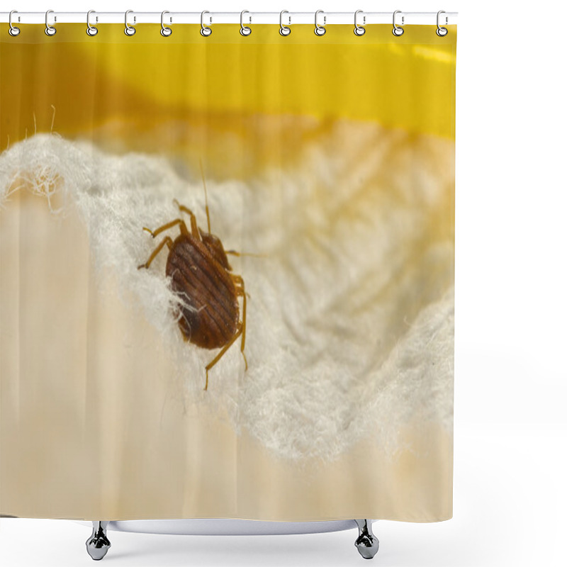 Personality  Bed Bug Shower Curtains