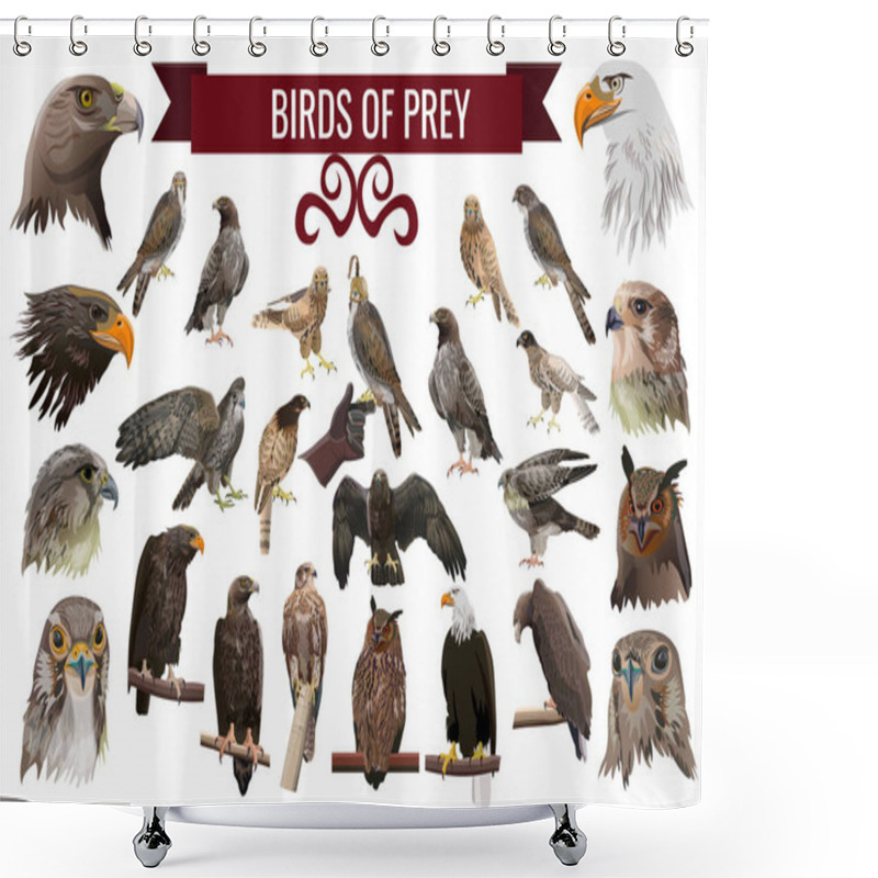 Personality  Set Of Birds Of Prey, Or Raptors. Collection Of Vector Images. Eagle, Kite, Hawk, Buzzard, Harrier, Falcon, Owl. Illustrations Isolated On White Background In Realistic Style Design Shower Curtains