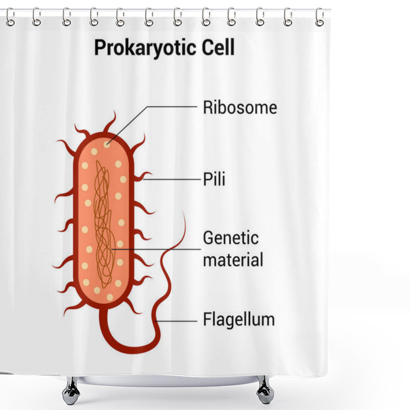 Personality  Prokaryotic Cell Structure Diagram Vector Shower Curtains