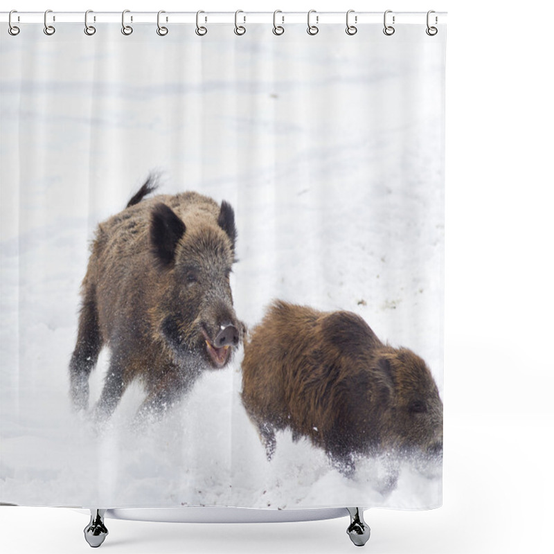 Personality  Wild Boars On Snow Shower Curtains