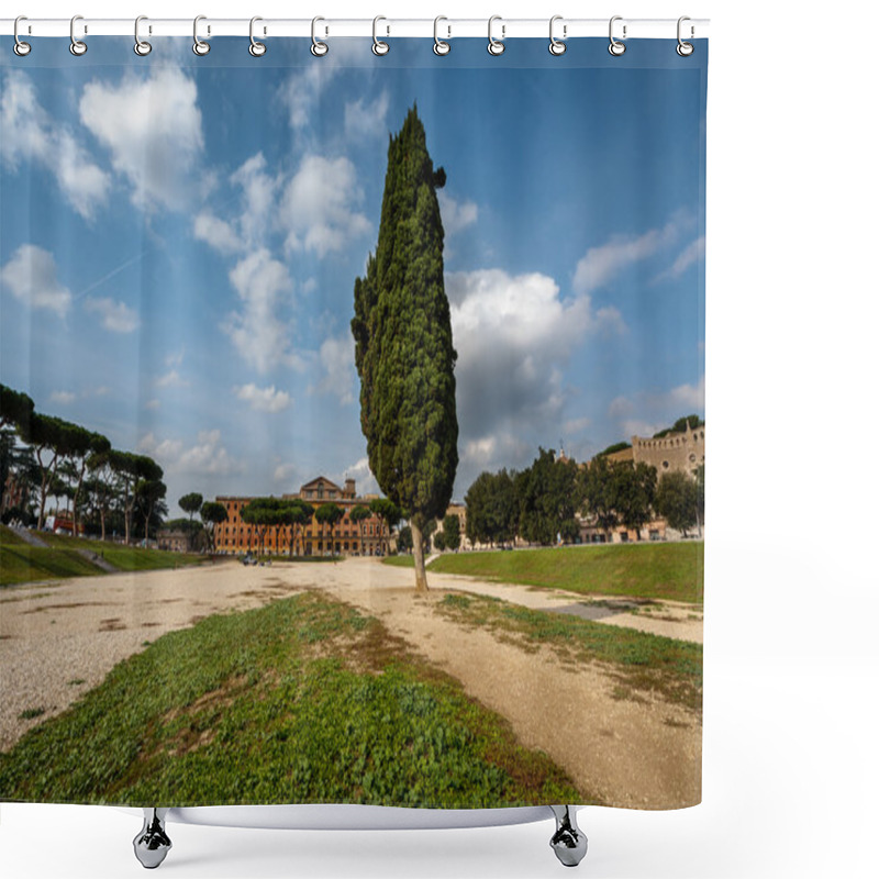 Personality  Cypress Tree On Circus Maximus, Ancient Roman Stadium Near Palat Shower Curtains