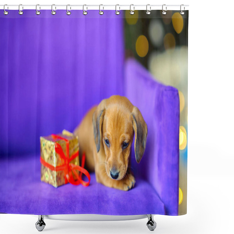 Personality  2018 Year Of The Dog Shower Curtains