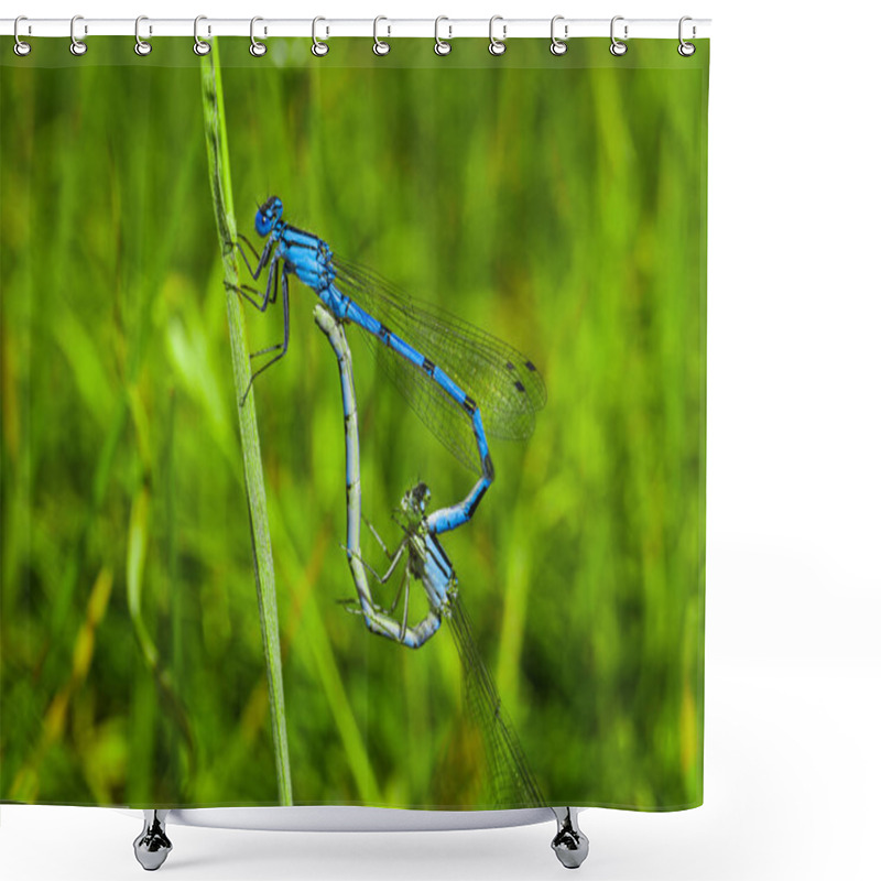 Personality  Two Blue Dragonflies Mating On The Branch. Macro View. Shower Curtains