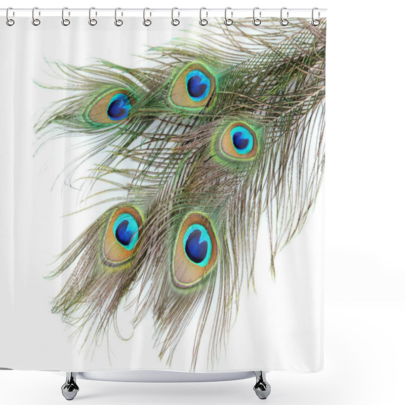 Personality  Peacock Feathers On White Background Close-up Shower Curtains