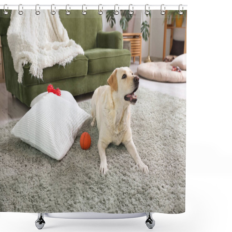 Personality  Cute Labrador Dog Lying On Carpet In Living Room And Playing With Pet Toys Shower Curtains