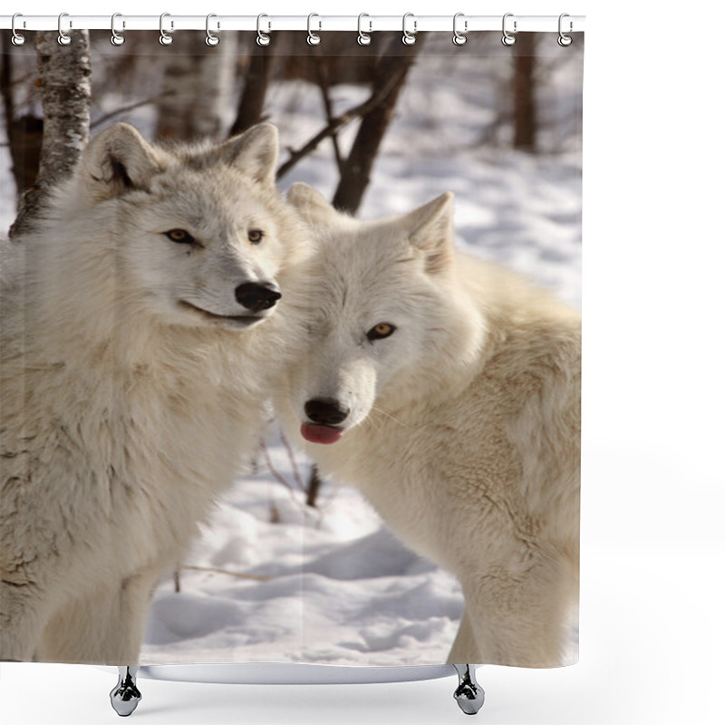 Personality  Arctic Wolves In Winter Shower Curtains