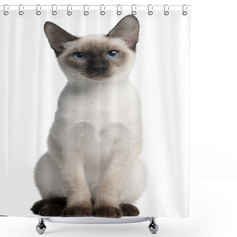 Personality  Thai Kitten, 5 Months Old, Sitting In Front Of White Background Shower Curtains