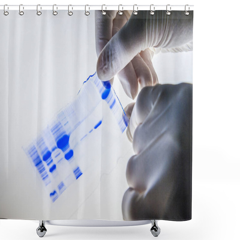 Personality  Scientist Is Examining Frame On Light Box. Shower Curtains