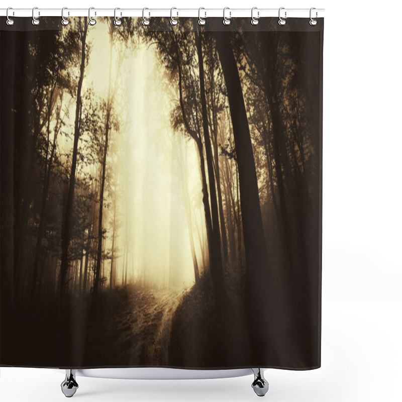 Personality  Dark Gloomy Forest Road At Sunset Shower Curtains