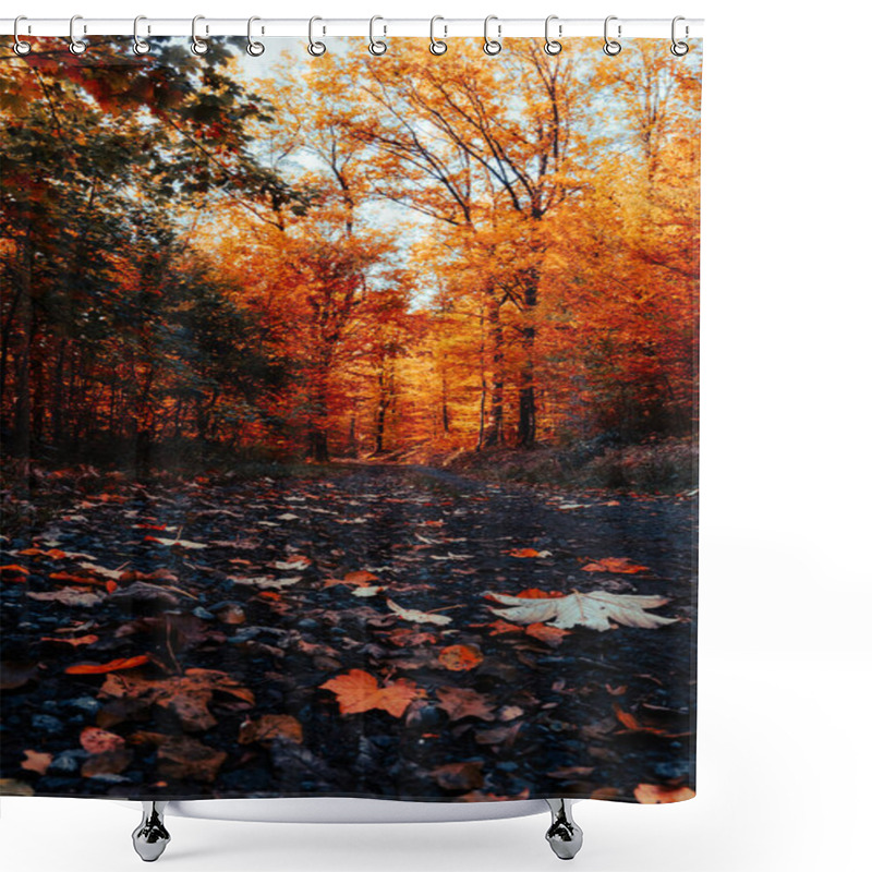 Personality  Autumn In The Forest With Beautiful Golden Leaves And Rich Earth Tones. Shower Curtains