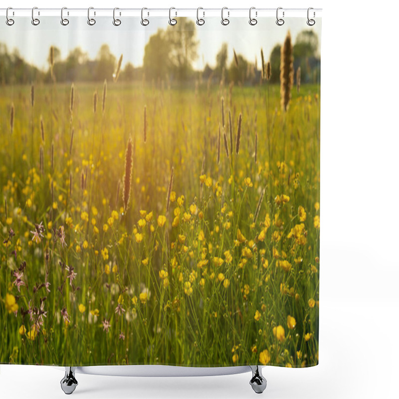 Personality  Bright Field Yellow Flowers Buttercups In The MeadowSunny Spring Day Shower Curtains