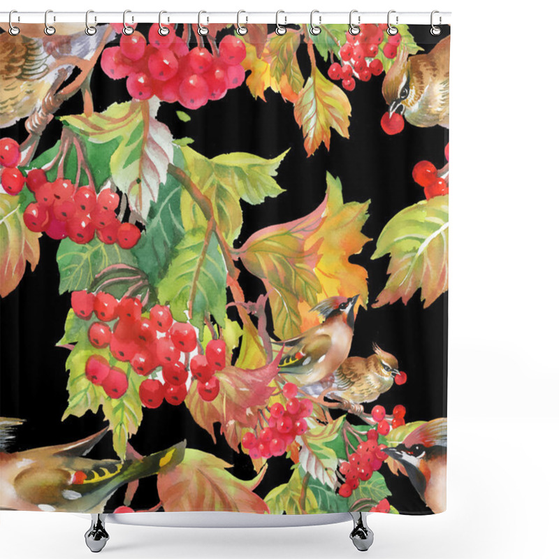 Personality  Rowan Berries With Hoopoe Birds Shower Curtains