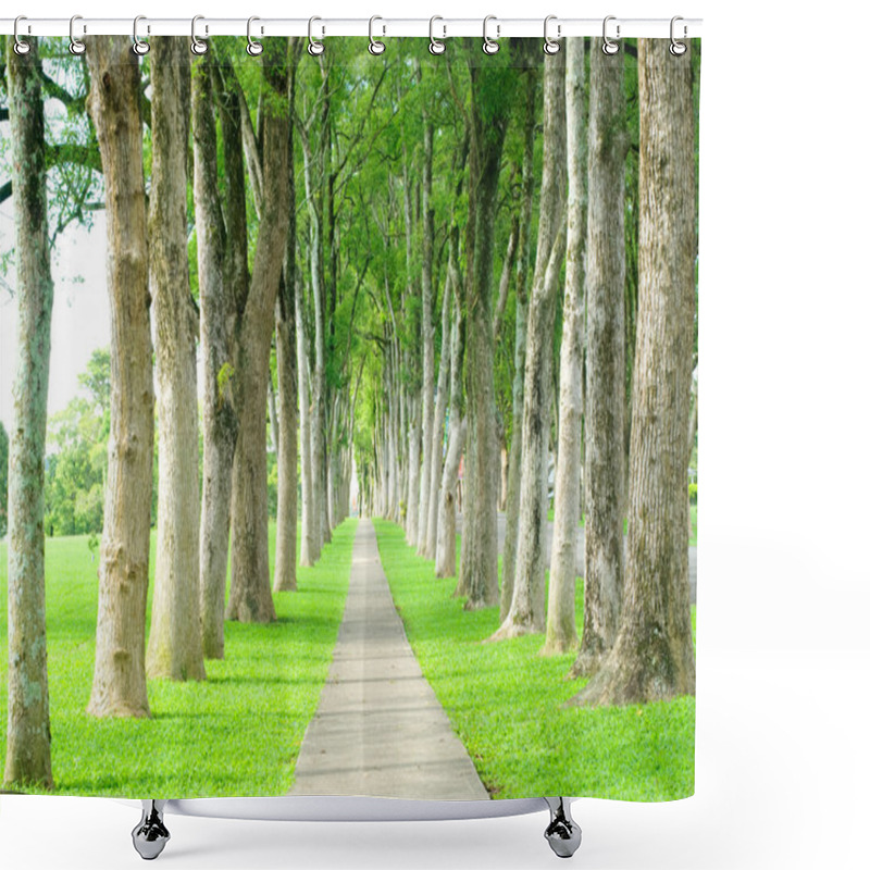 Personality  Road Through Row Of Trees Shower Curtains