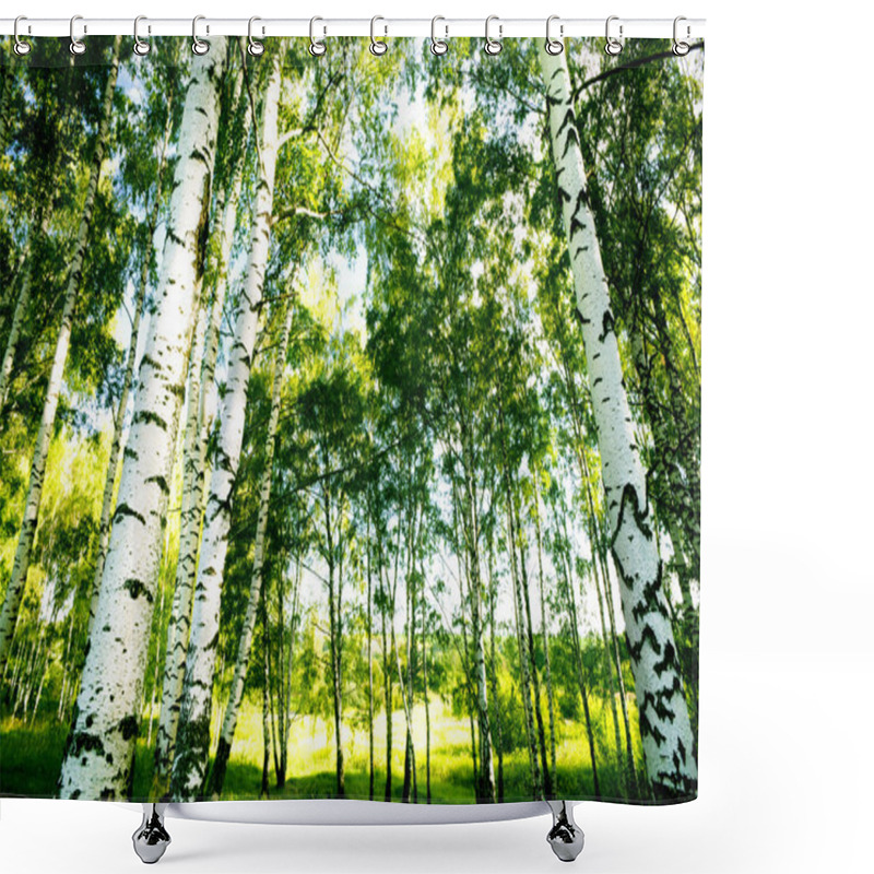 Personality  Forest Birch Shower Curtains