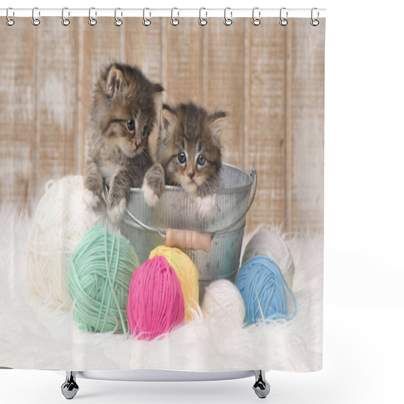 Personality  Kittens With Balls Of Yarn In Studio Shower Curtains