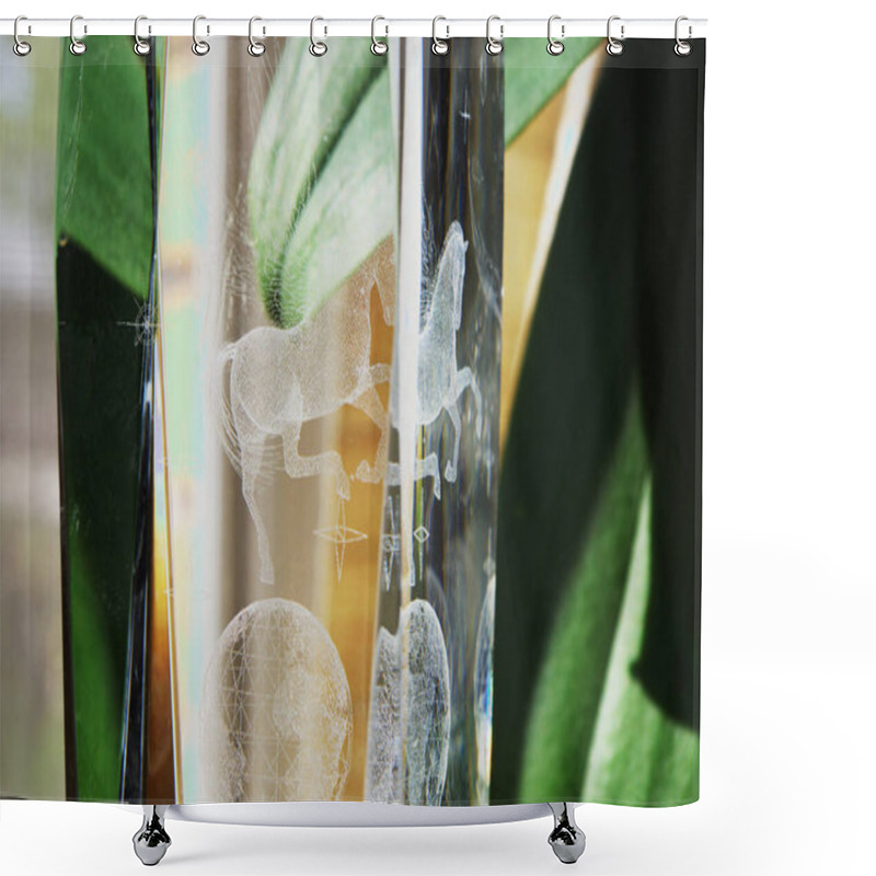 Personality  Glass Etching And Plant Leaf Reflected In A Close Mirror Shower Curtains