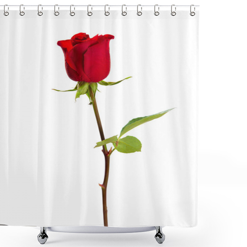 Personality  Red Rose Shower Curtains