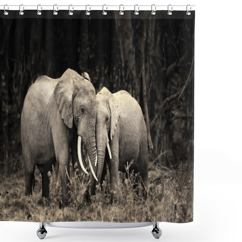 Personality  African Elephant Shower Curtains