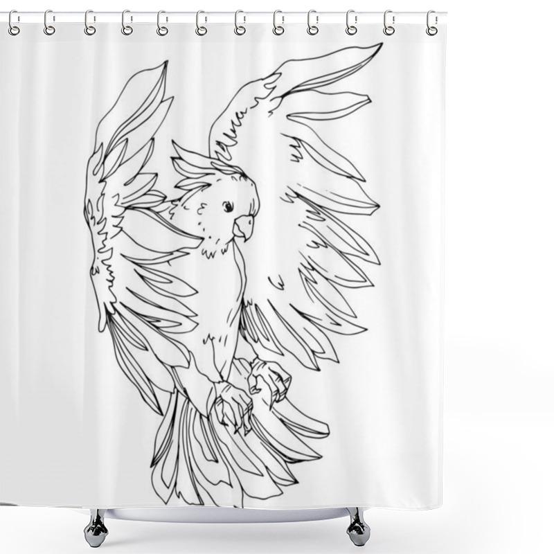 Personality  Vector Sky Bird Cockatoo In A Wildlife Isolated. Black And White Shower Curtains