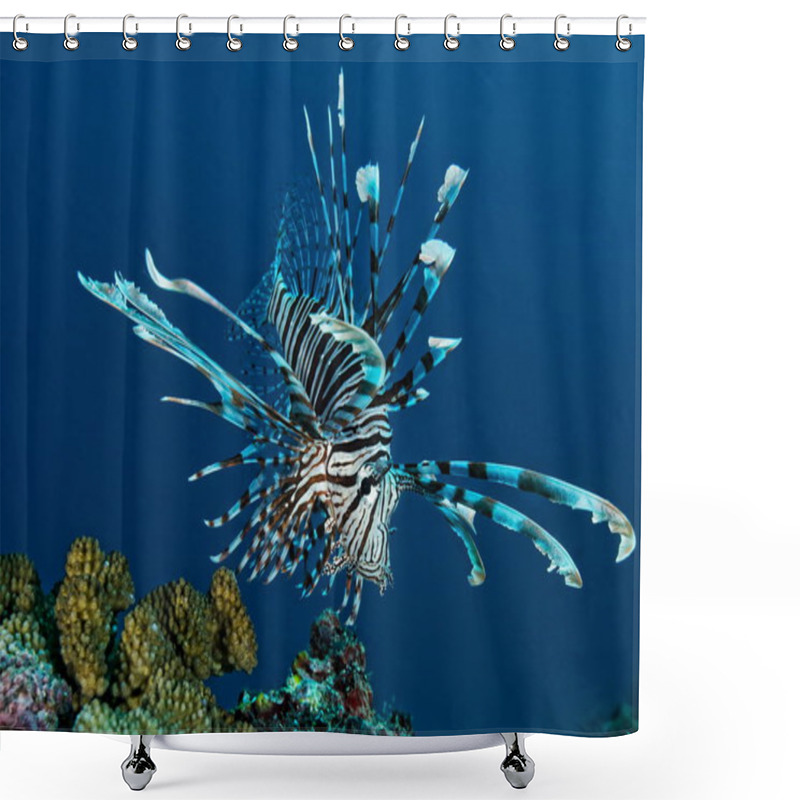 Personality  Lionfish Underwater In The Water  Shower Curtains