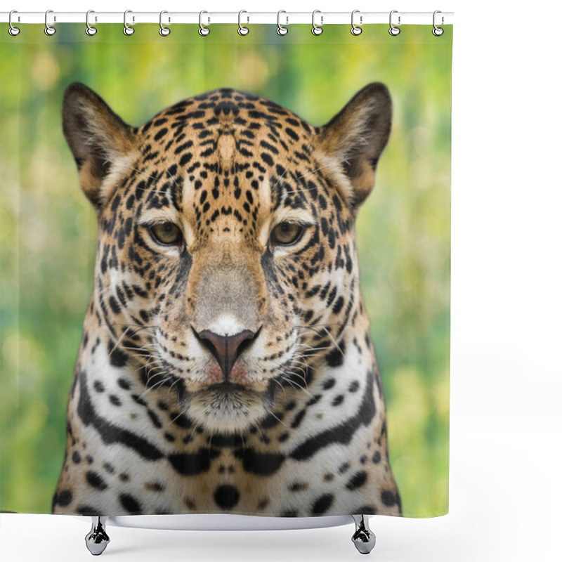 Personality  Jaguar Face Close Up Shower Curtains