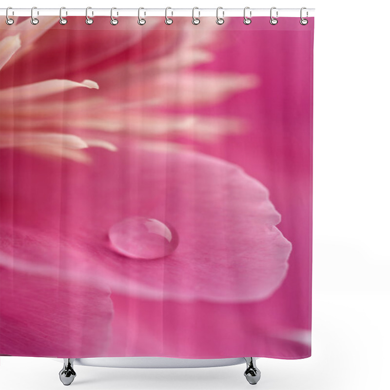 Personality  Pink Peony Flower With Water Droplet Shower Curtains