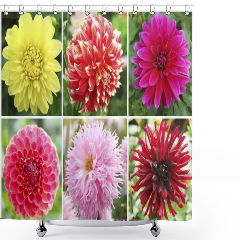 Personality  Collage With Dahlia Flowers  Shower Curtains