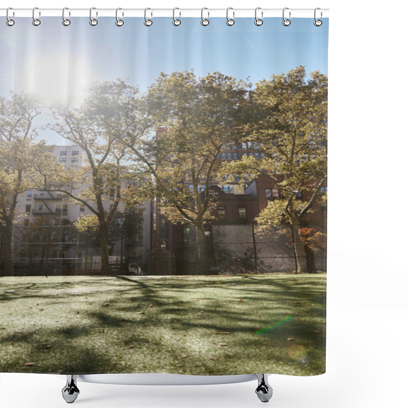 Personality  A Sunny Day In New York City, With A Park Bathed In Warm Light. Shower Curtains