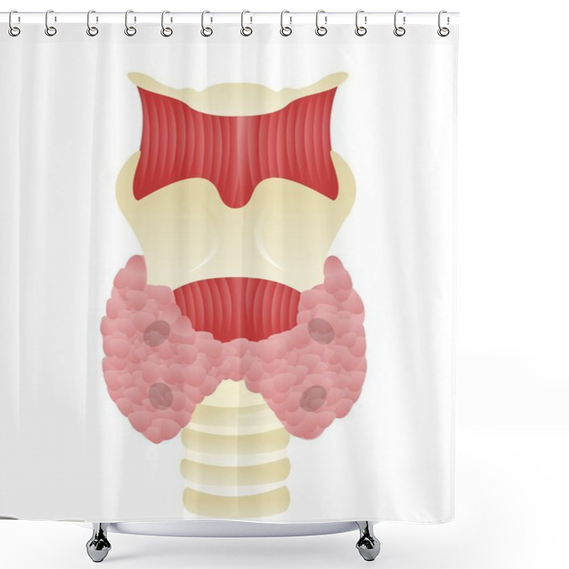 Personality  Parathyroid Glands Shower Curtains