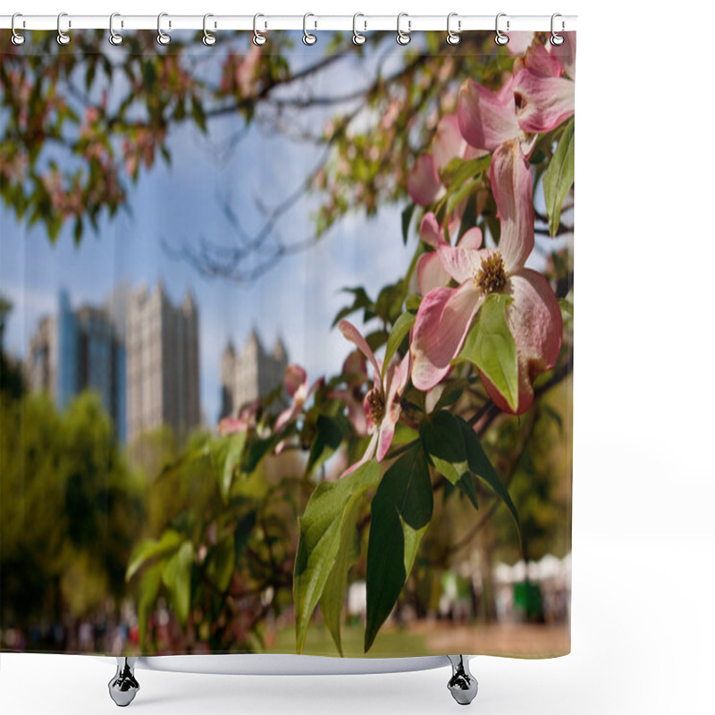 Personality  Pink Dogwood Tree Blossoms Frame Springtime Atlanta Cityscape Shower Curtains