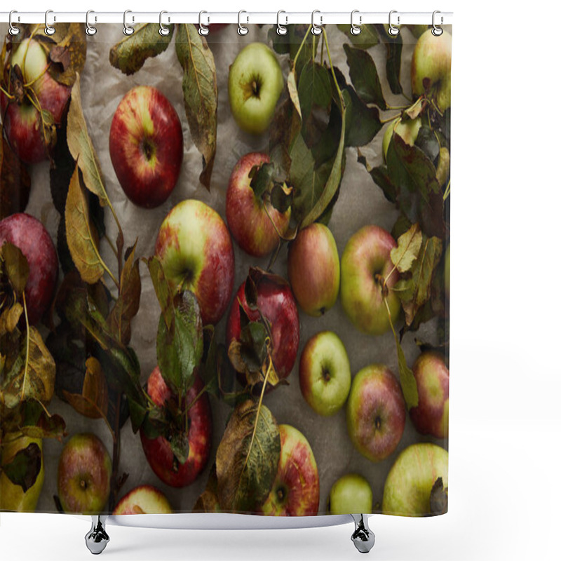 Personality  Top View Of Ripe Apples With Branch And Leaves Shower Curtains